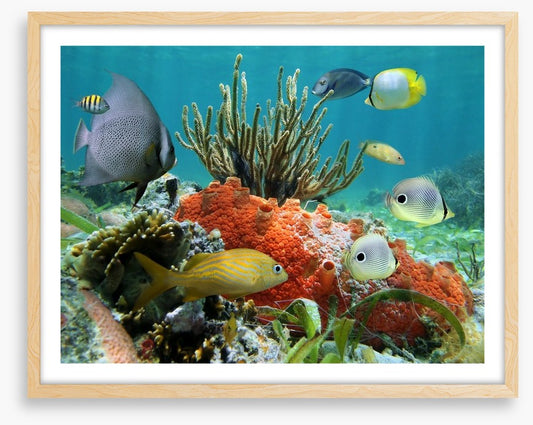 Underwater