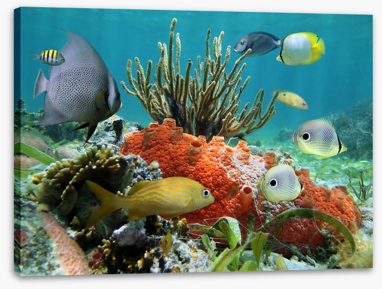 Underwater