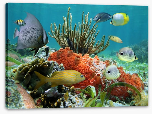 Underwater