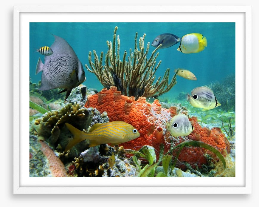 Underwater