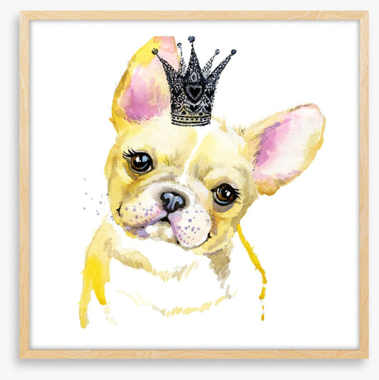 Princess pooch II