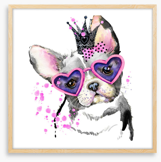 Princess pooch I