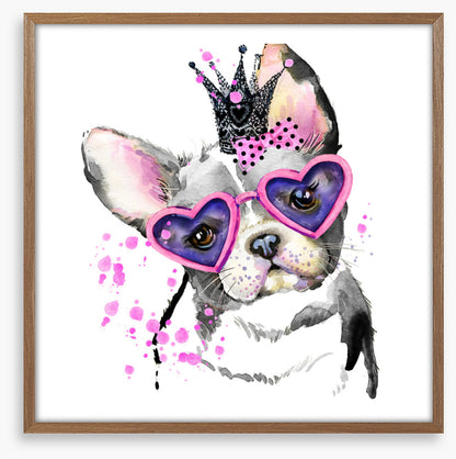Princess pooch I
