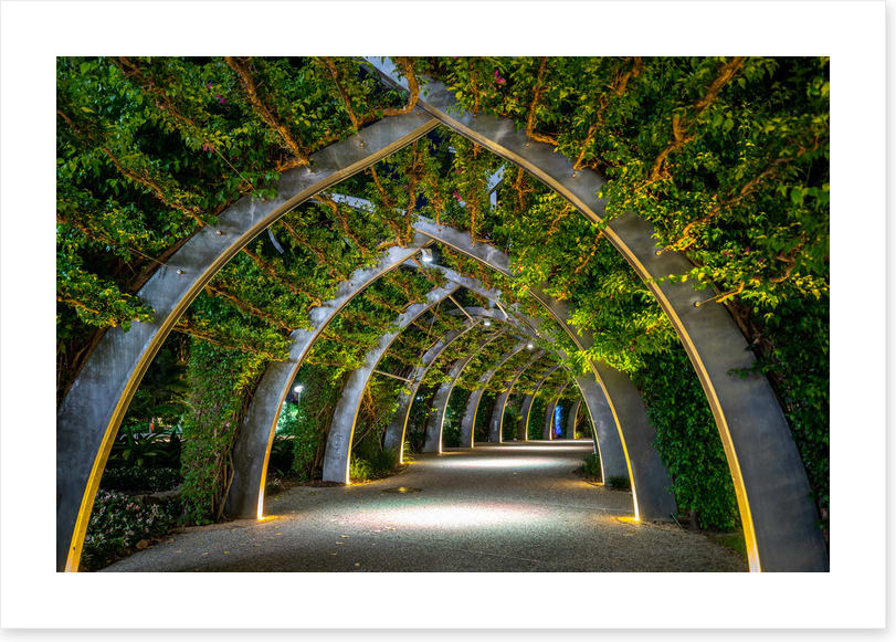 Brisbane Arbour by night