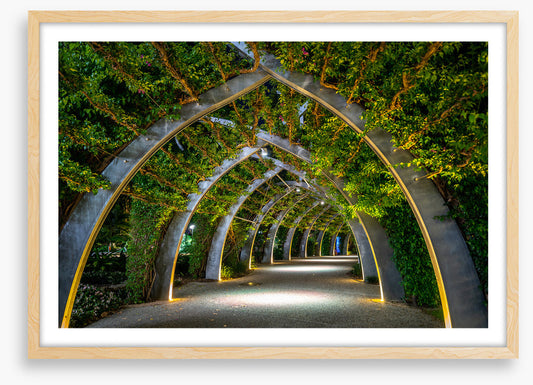 Brisbane Arbour by night