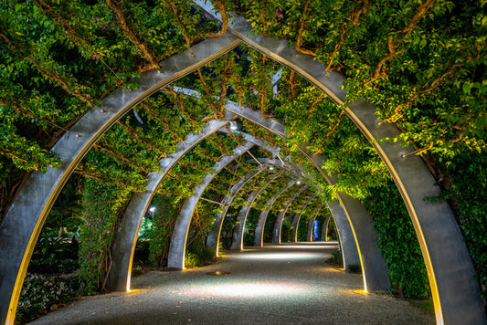 Brisbane Arbour by night