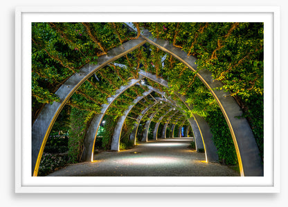 Brisbane Arbour by night