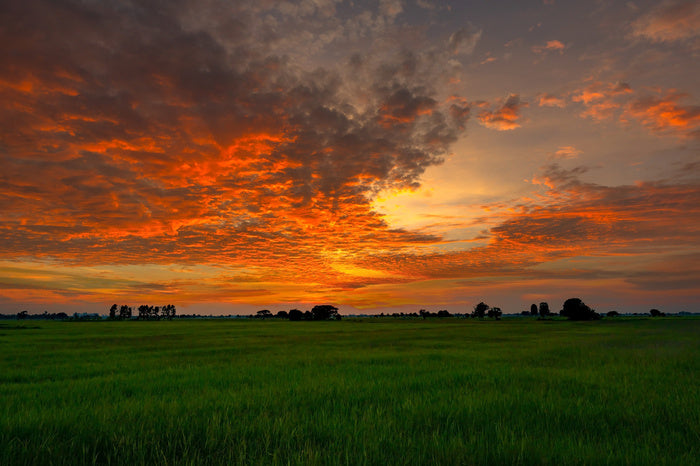 Sunsets