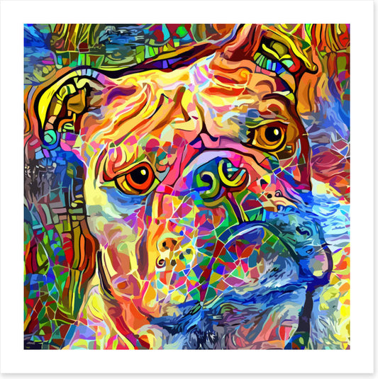 Kooky bulldog