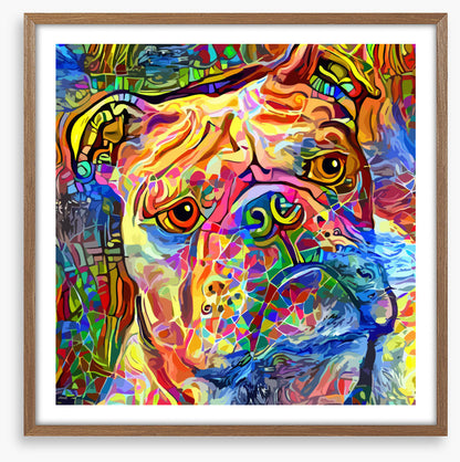 Kooky bulldog