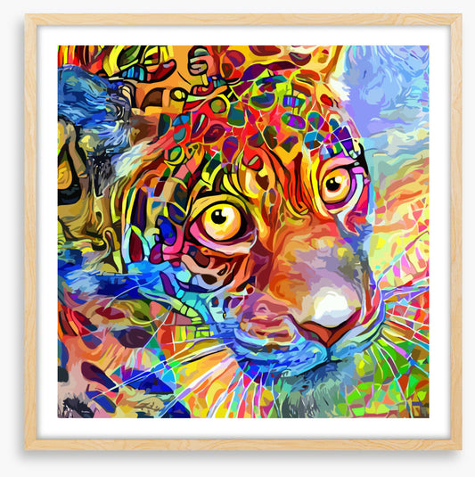 Kooky leopard
