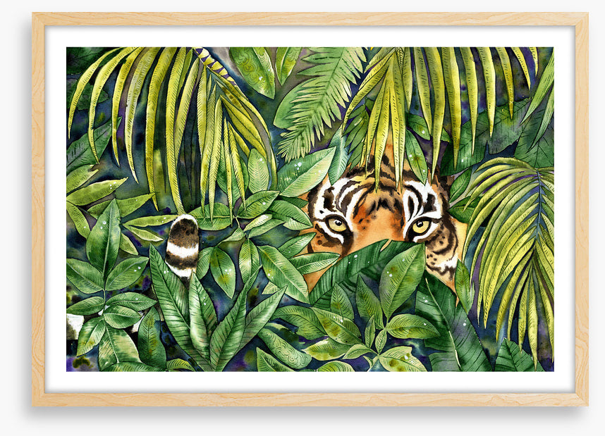 Eye spy tiger