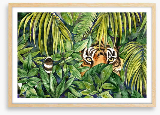 Eye spy tiger