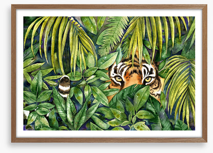 Eye spy tiger