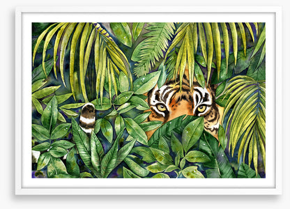 Eye spy tiger