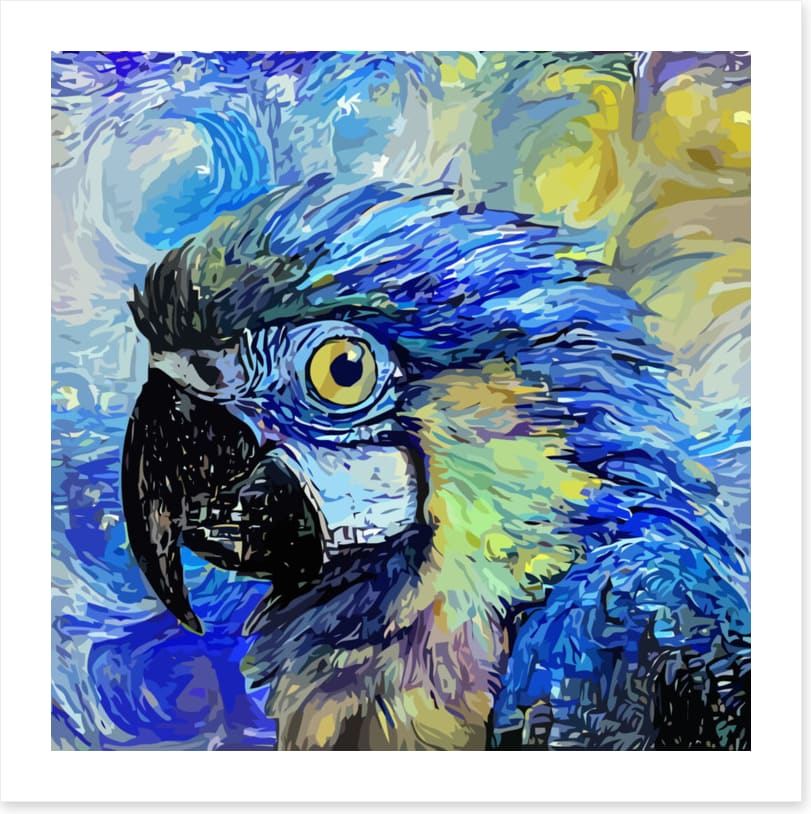 Starry night parrot