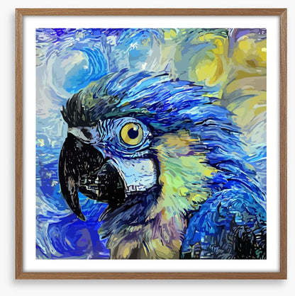 Starry night parrot