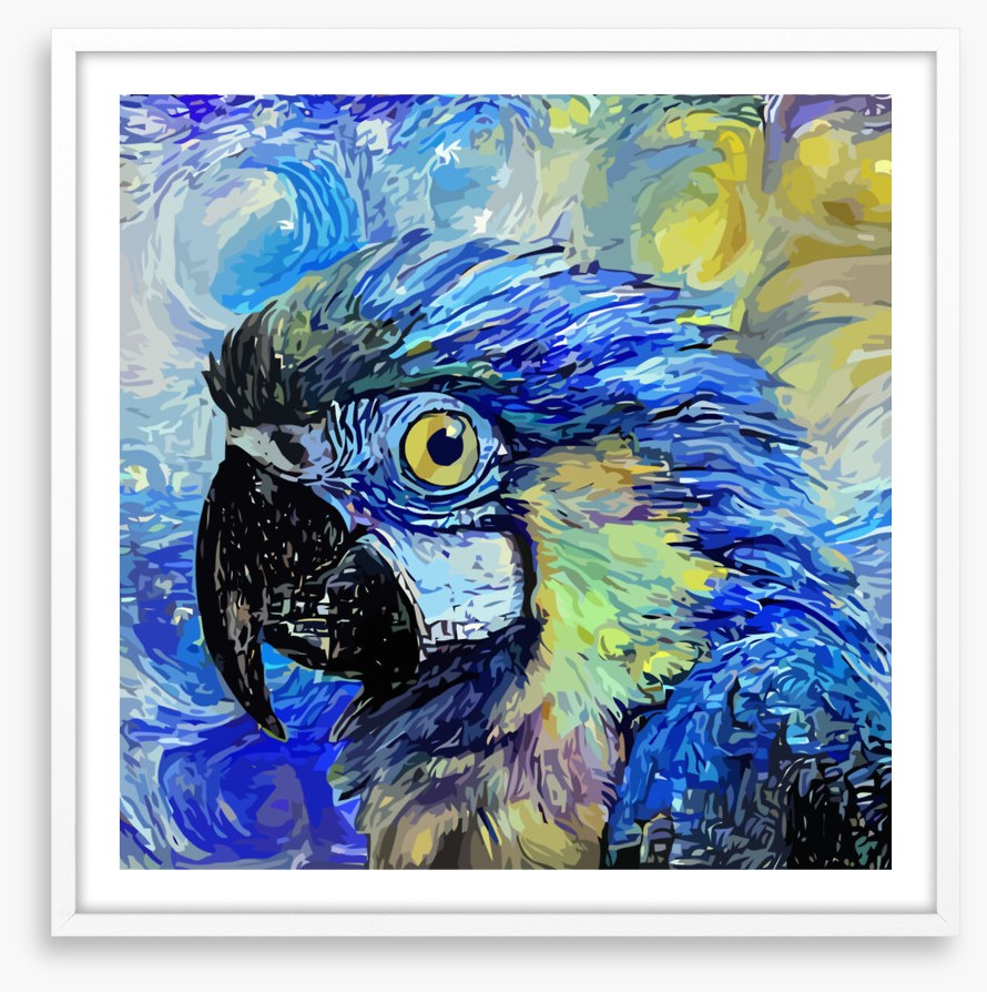 Starry night parrot