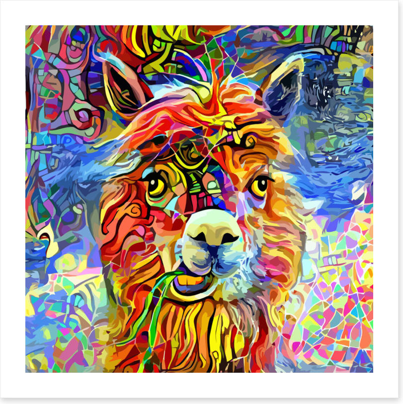 Kooky alpaca