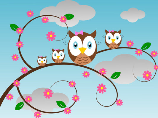 Owls