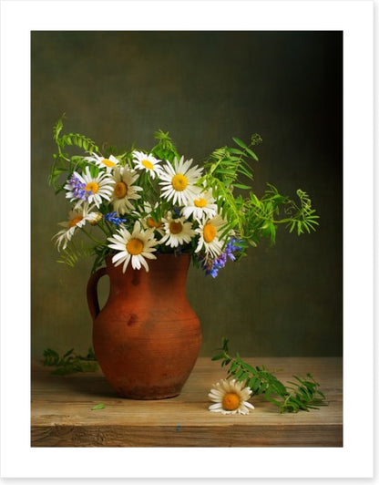 Daisies for days
