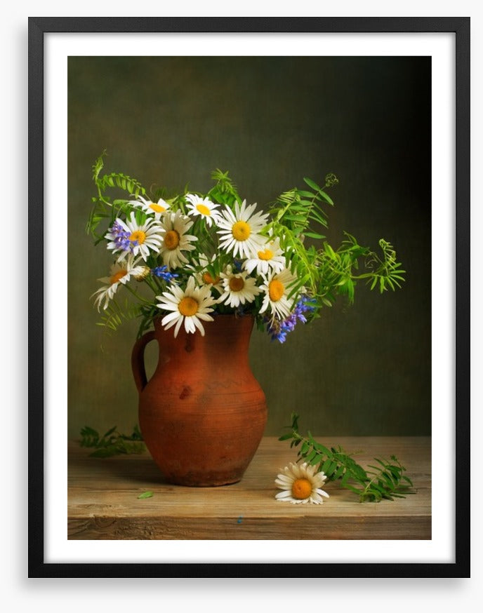 Daisies for days