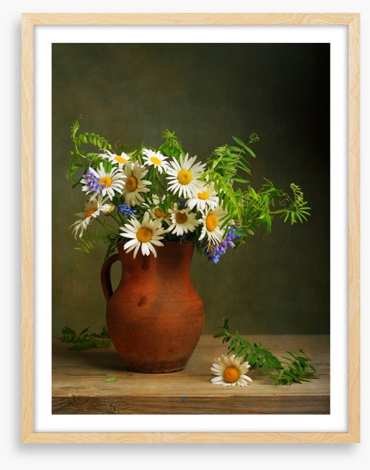Daisies for days