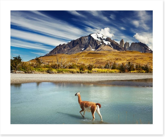 Torres del Paine National Park