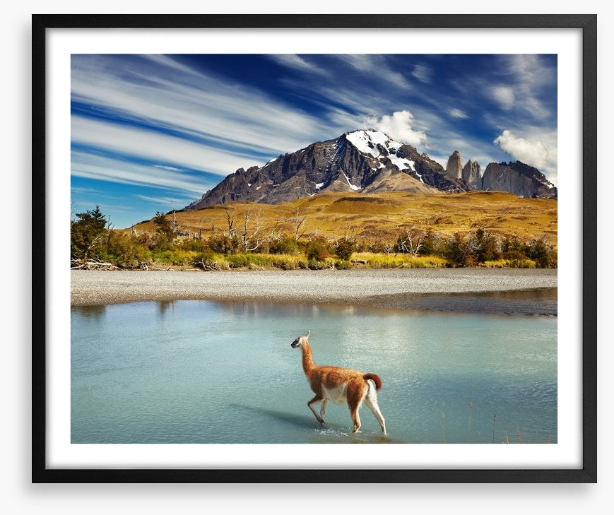 Torres del Paine National Park
