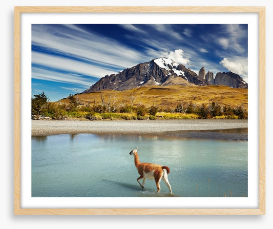 Torres del Paine National Park