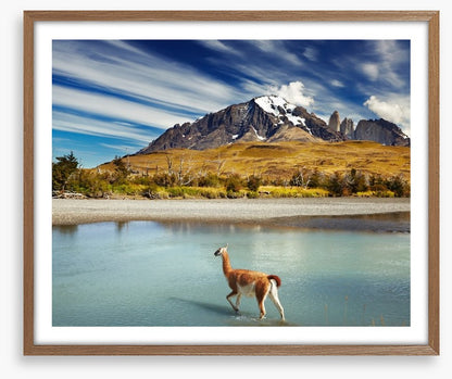 Torres del Paine National Park