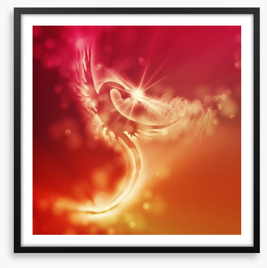 Dragon of sunlight