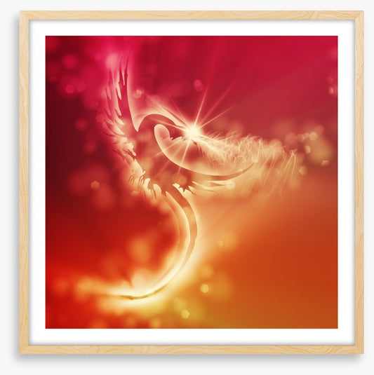 Dragon of sunlight