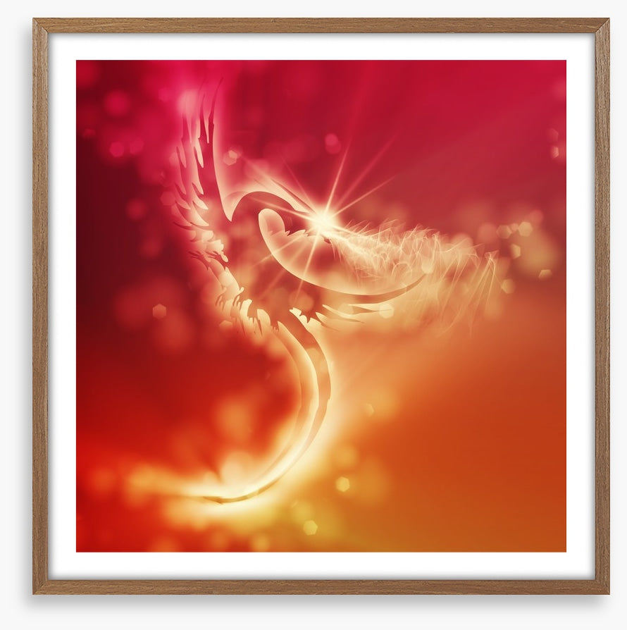 Dragon of sunlight