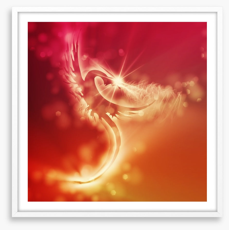 Dragon of sunlight