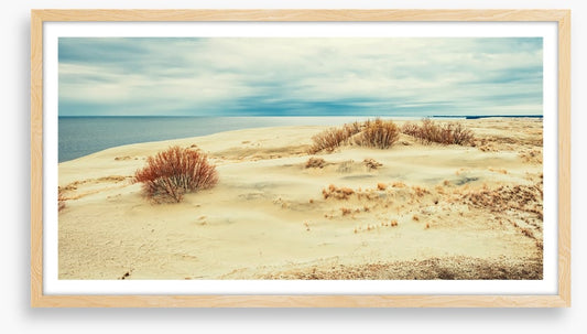 From sand to sea