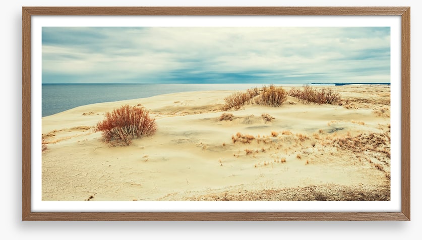 From sand to sea