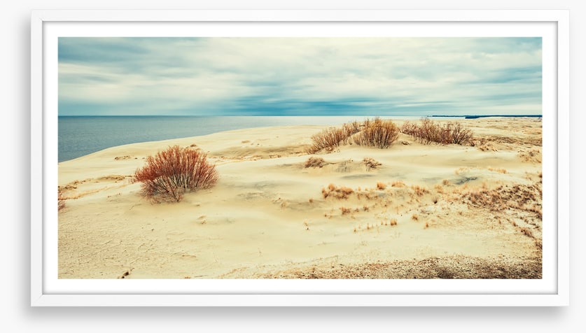 From sand to sea