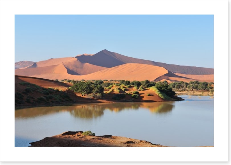 Desert