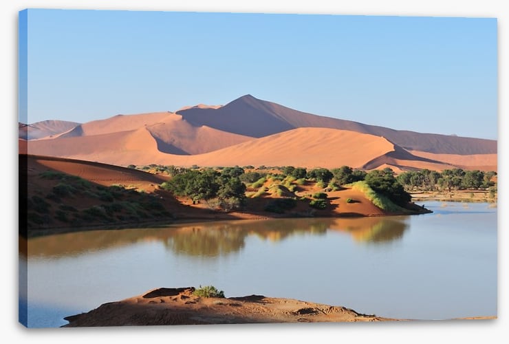 Desert