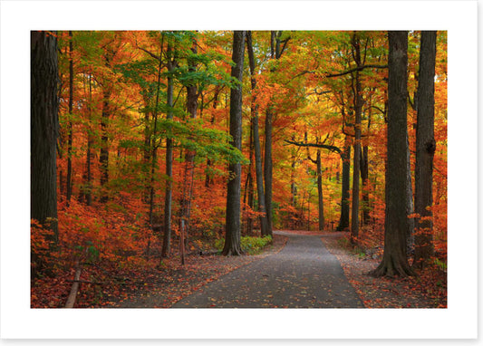 Autumn