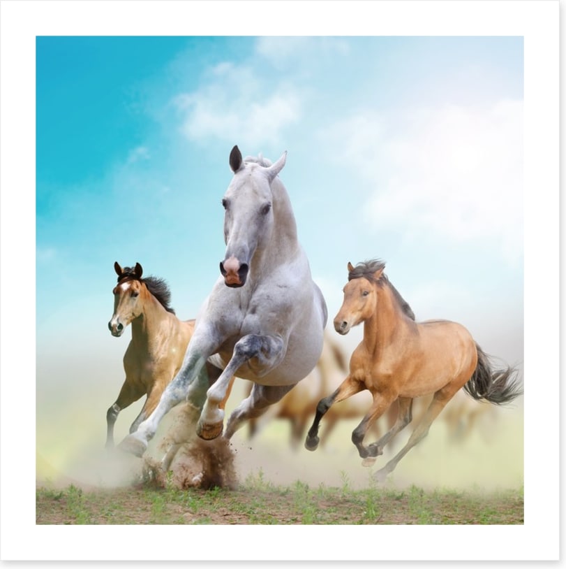 Running horses