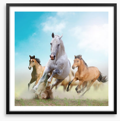 Running horses