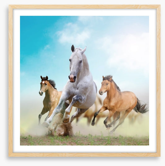 Running horses