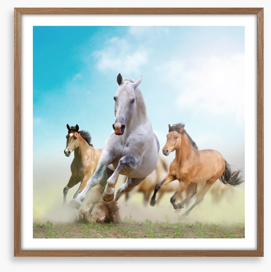 Running horses