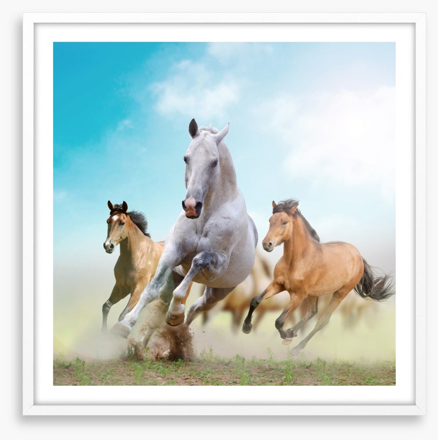 Running horses