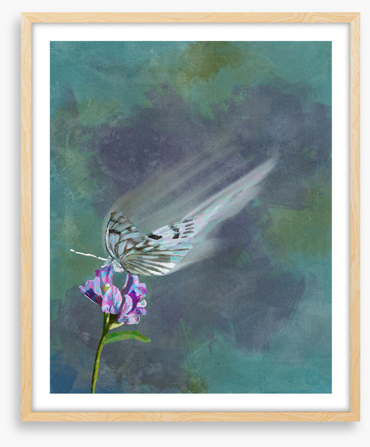 Butterflies