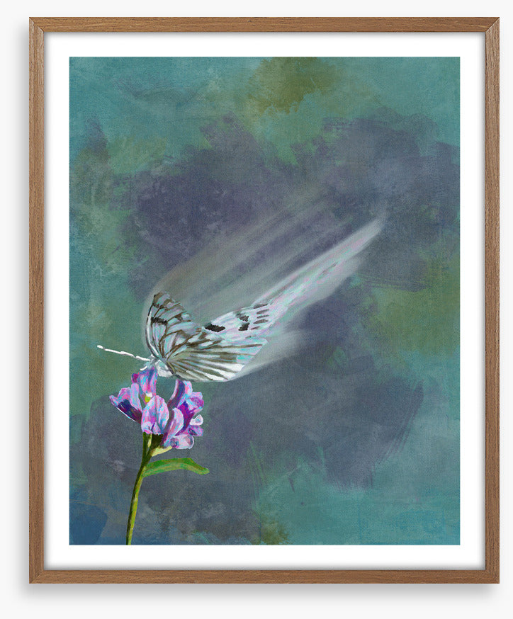 Butterflies