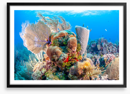 Sculpture of the sea 1