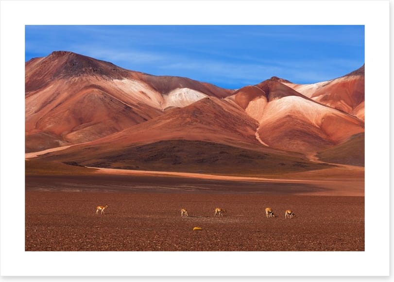 Desert